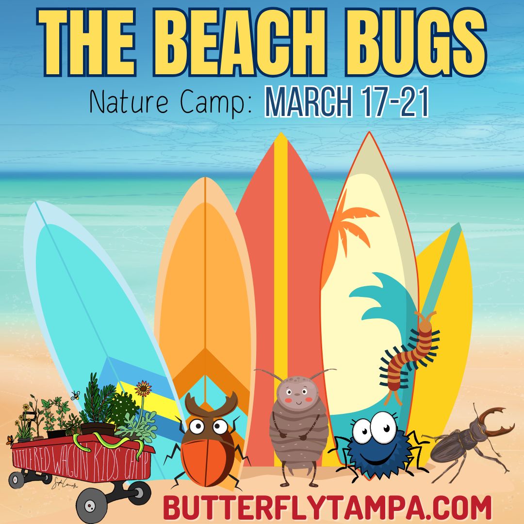 Register Spring Break Camp